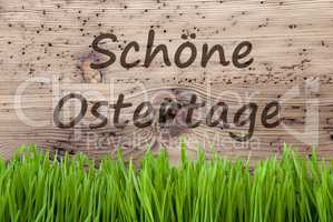 Bright Wooden Background, Gras, Schoene Ostertage Means Happy Easter