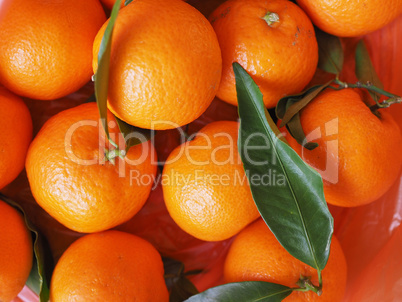 tangerine fruit food