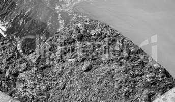 Algae at sea harbour in black and white