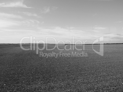 English country panorama in Salisbury in black and white