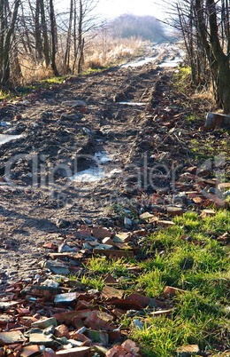 road, dirt, path, puddle, the ground, ground, soil, dirt, earth