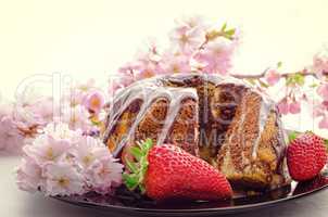 spring babka