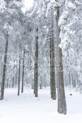 sauerland in winter