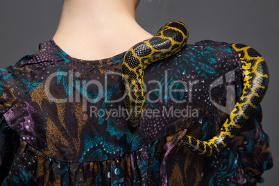Snake crawling on woman's shoulder
