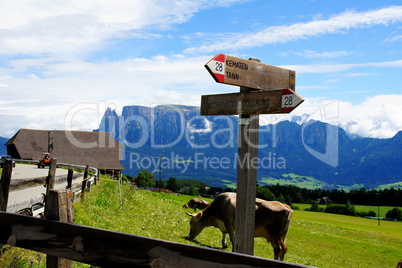 Holzschilder auf dem Ritten