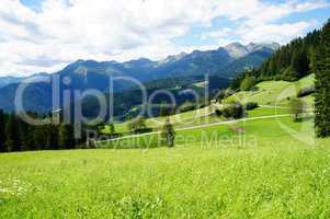 grüne Berglandschaft in Südtirol..
