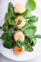 Scallop Salad with greenery