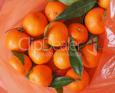 tangerine fruit food