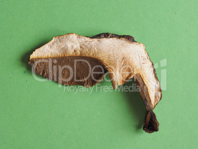 dried porcini mushroom food