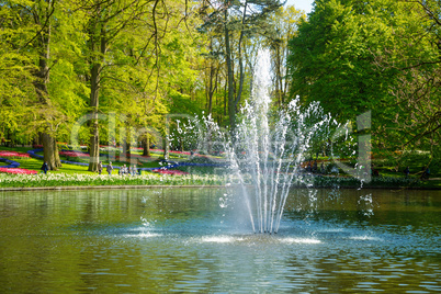 Pond with a fountain in the park