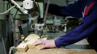 Master drilling holes with wood cutter in board