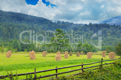 Haystacks in the mountain valley of the Carpathian mountains