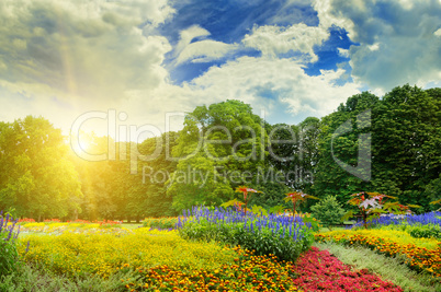 summer park with beautiful flowerbeds