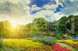 summer park with beautiful flowerbeds