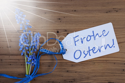 Sunny Srping Grape Hyacinth, Label, Frohe Ostern Means Happy Easter