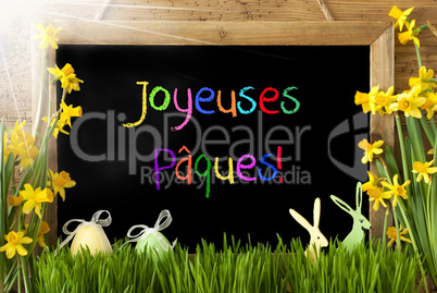 Sunny Narcissus, Egg, Bunny, Colorful Joyeuses Paques Means Happy Easter