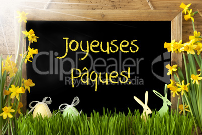 Sunny Narcissus, Egg, Bunny, Joyeuses Paques Means Happy Easter