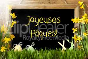 Sunny Narcissus, Egg, Bunny, Joyeuses Paques Means Happy Easter