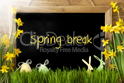 Sunny Narcissus, Easter Egg, Bunny, Text Spring Break
