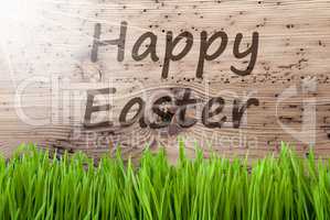 Bright Sunny Wooden Background, Gras, Text Happy Easter