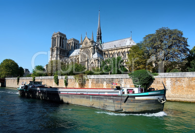 View on Notre Dame