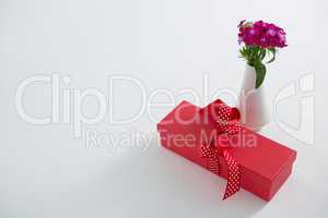 Gift box and flower vase on white background