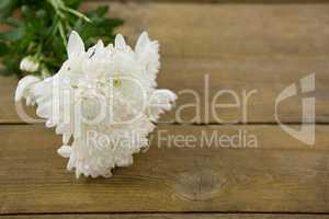 Bunch of white flowers on wooden plank