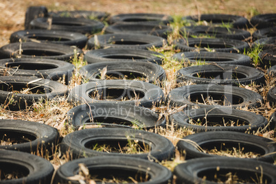 Tires placed in a row on ground for obstacle training course