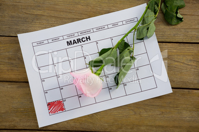 Pink rose on calendar