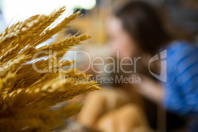 Close-up of ears of wheat at counter