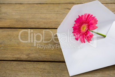 Pink flower in envelope on wooden plank