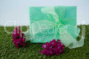 Gift box with flowers on grass