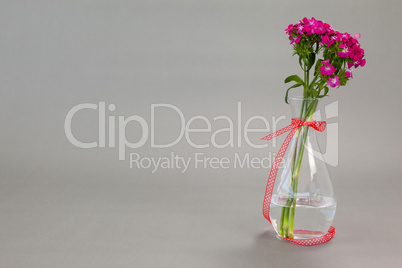 Flower vase tied with red ribbon