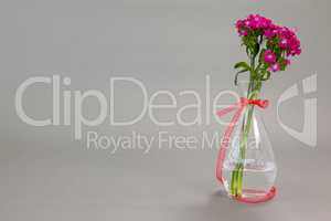 Flower vase tied with red ribbon