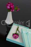 Opened gift box with flower and vase