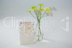 Gift bag and flower vase on white background