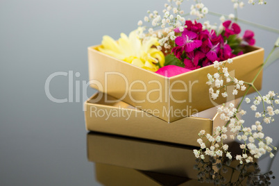 Opened gift box with a flowers