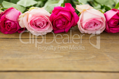 Pink roses arranged on wooden plank