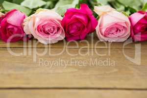 Pink roses arranged on wooden plank