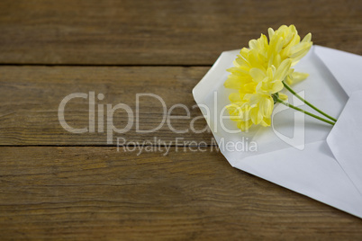 Yellow flowers in envelope on wooden plank