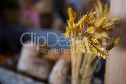 Ears of wheat at counter in bakery shop