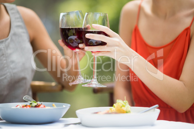 Friends toasting wine glasses in the restaurant