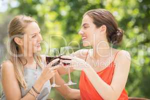 Happy friends toasting wine glasses