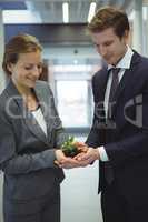 Businesspeople hand holding plant together in corridor