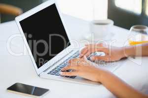 Woman using laptop in a restaurant