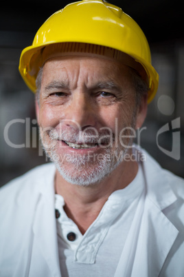 Portrait of smiling factory worker