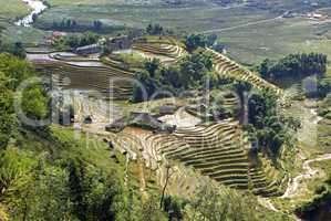 Reisterrassen, Sapa, Vietnam