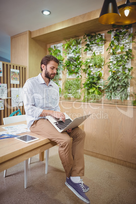 Male business executive sitting on desk and using laptop