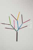 Colored pencil forming a tree