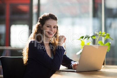 Portrait of female business executive sitting in office with laptop on table